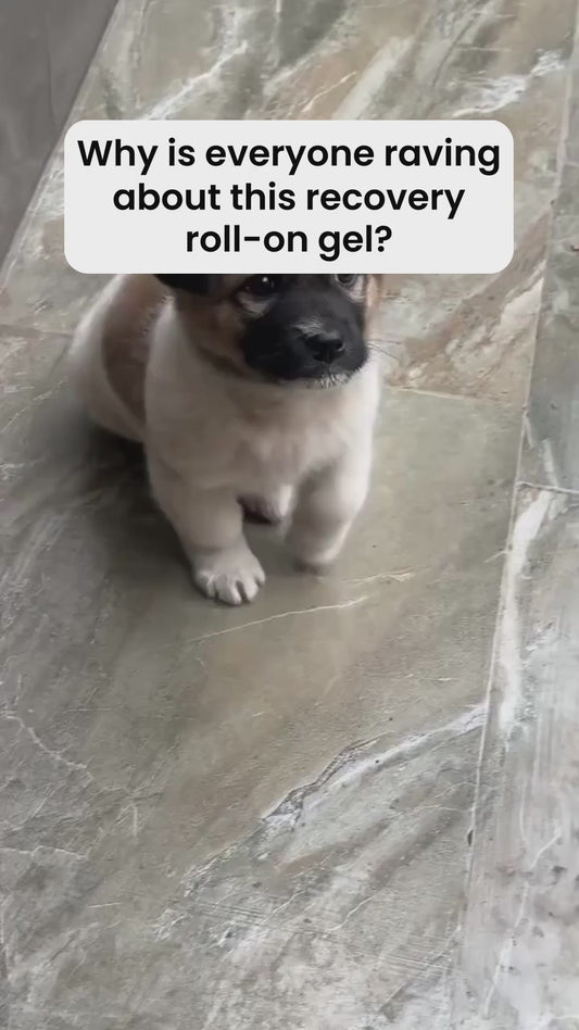 Recovery Roll On Gel 3.4oz